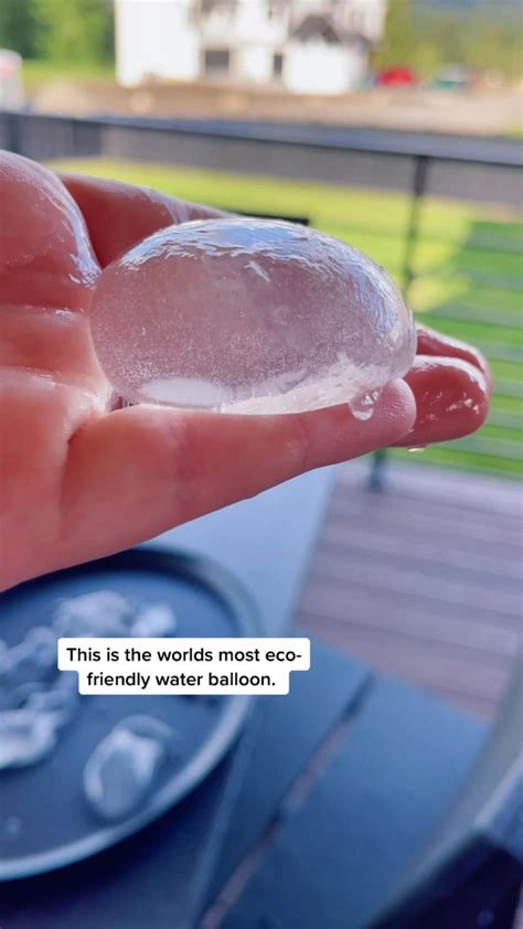 Make your own edible water bottle and be the greenest kid on the block ...
