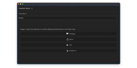 Image result for Premiere Pro Tutorial Editing Audio