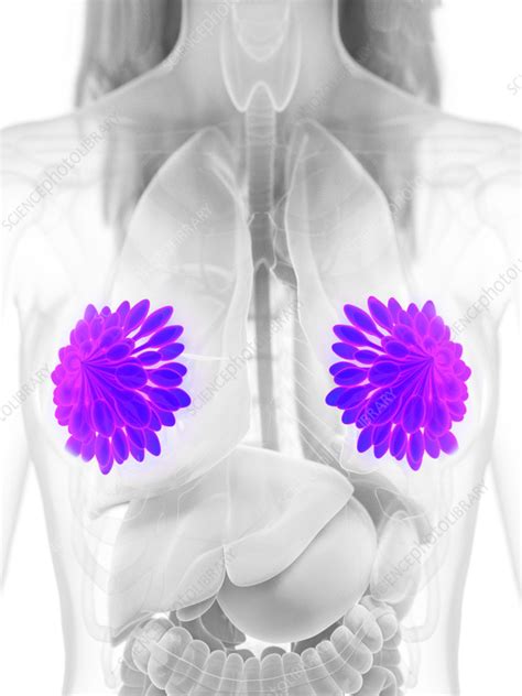 Bing Ai Art Mammary 的图像结果