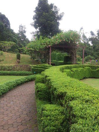 Nilambur Teak Museum (Malappuram) - 2019 What to Know Before You Go ...