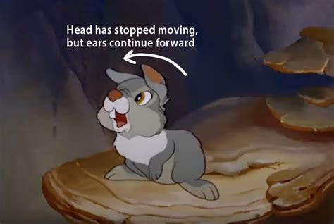 Image result for Follow through Animation Cycle