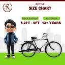 Rally Popular 22 Inch Men's Full Size Bicycle with Carrier, Stand and ...