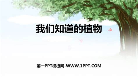 《我们知道的植物》PPT教学课件 - 第一PPT