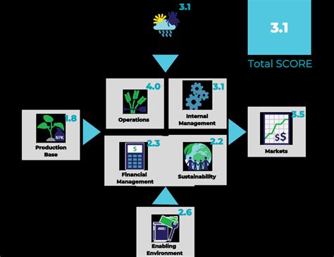 Image result for Scope Procedure