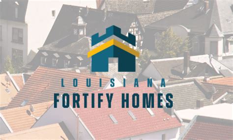 Fortify Program 的图像结果