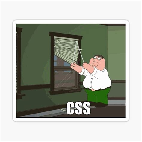 Image result for CSS Developer Meme