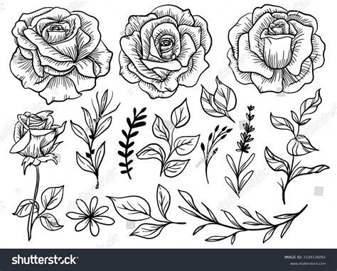 Flower Clipart Black N White