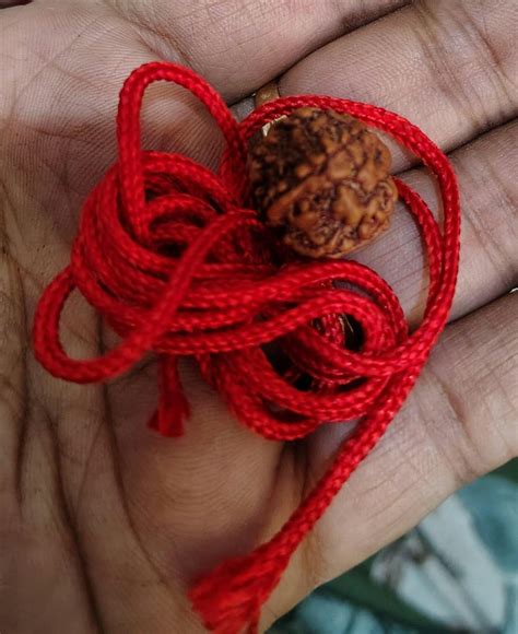 Black Rudraksha Mala - 108+1 Beads – Japam