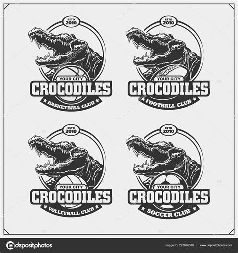 Volleyball Basketball Soccer Football Logos Labels Sport Club Emblems ...