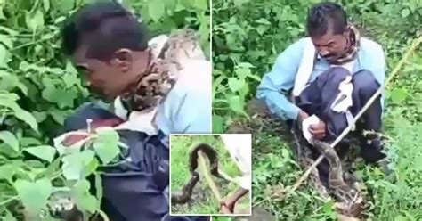 Image result for Attack Florida Human in On Python