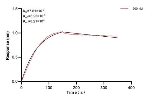 TSG101 antibody (84334-3-PBS) | Proteintech