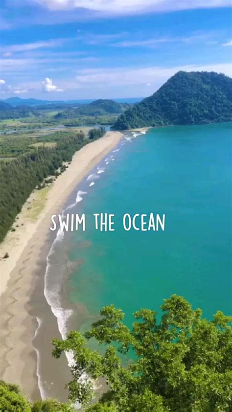 Swim in Sea 的图像结果