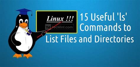 Image result for Unix Ls Command Examples