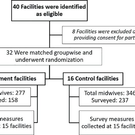 Image result for Randomization Process