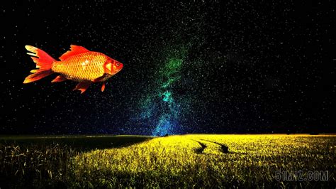 描绘了现实中本该生活在水中的鱼在天空中游动的奇幻插画——“天空之|天空|中本|游动_新浪新闻