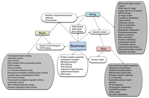 Systematic Approaches towards the Development of Host-Directed ...