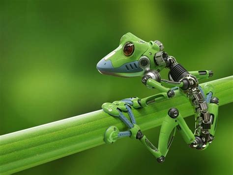 Image result for Biomimetics Examples