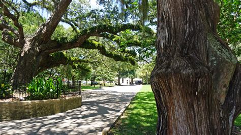 Oaks by the Bay – Florida Hikes