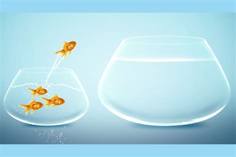 Why Every Singaporean Should Apply To Invest Their OA Funds In T-Bill