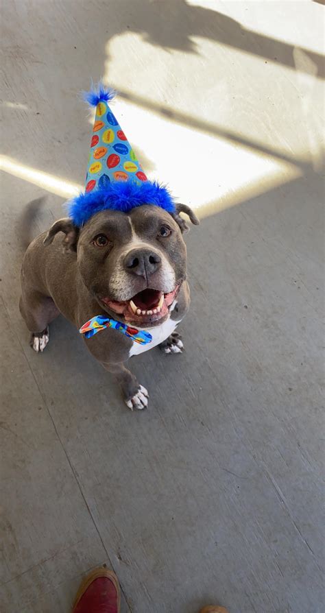 Jah at Birthday party : r/XXXTENTACION