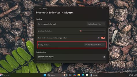 Image result for Mouse Scroll Settings Windows 11
