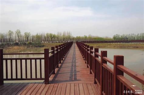 济宁市生态环境局 新闻头条 4500亩！太白湖这处人工湿地成南四湖“水质净化器”