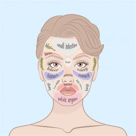 Chinese Face Mapping: Medicine for Great Skin | TCM in Denver, CO