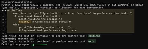 Exit Python 的图像结果