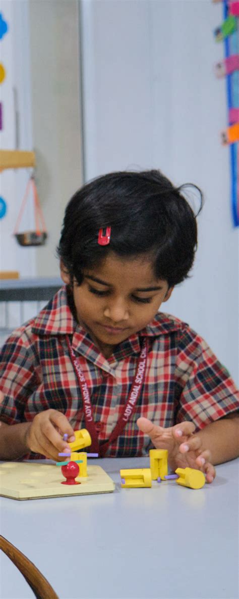 Rezultat imagine pentru PYP Learning