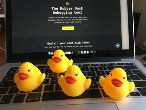 Image result for Debugging Duck Python