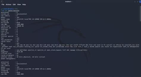 Top 11 System Information Commands in Kali Linux - Tech Hyme