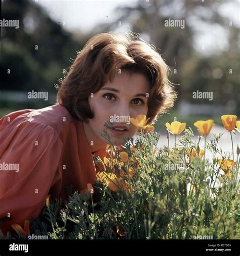 ANGELA DORIAN 1975.k27358.Supplied by Photos, inc.(Credit Image ...