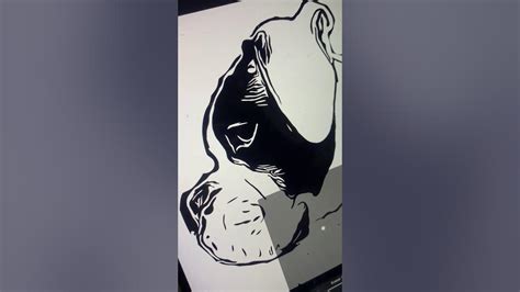 Image result for Tutorial Imaengine