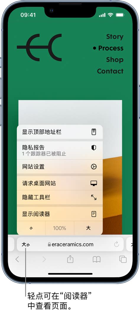 在 iPhone 上的 Safari 浏览器中隐藏广告和干扰信息 - 官方 Apple 支持 (中国)