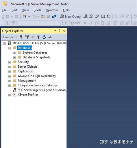 SQL Server Database Management 的图像结果