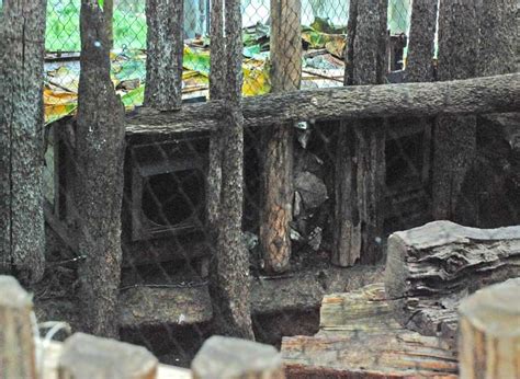 ZooLex Image - Wooden boxes