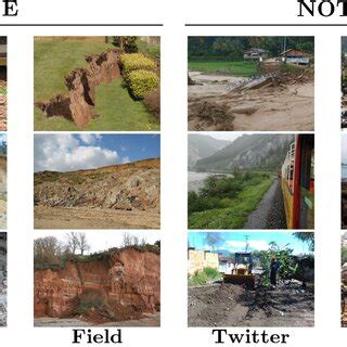 Image result for Dataset Example