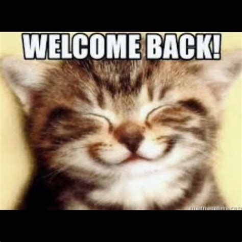 Image result for Cat Sketch Tutorial