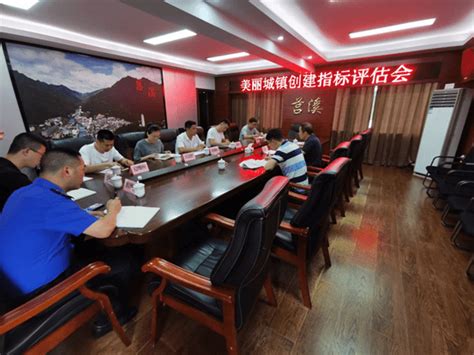温州苍南：专业力量献言献策 高标准推进美丽城镇建设——浙江在线
