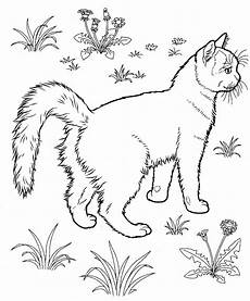 ausmalbilder katzen und pferde kostenlos zum ausdrucken malvorlagen katze f 252 r kinder ausmalbilder katzen und pferde kostenlos zum ausdrucken malvorlagen katze f 252 r kinder