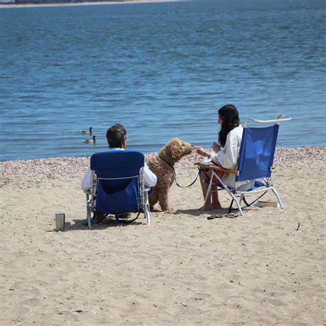 Salt Water New England: The Middle of April in Salt Water New England ...