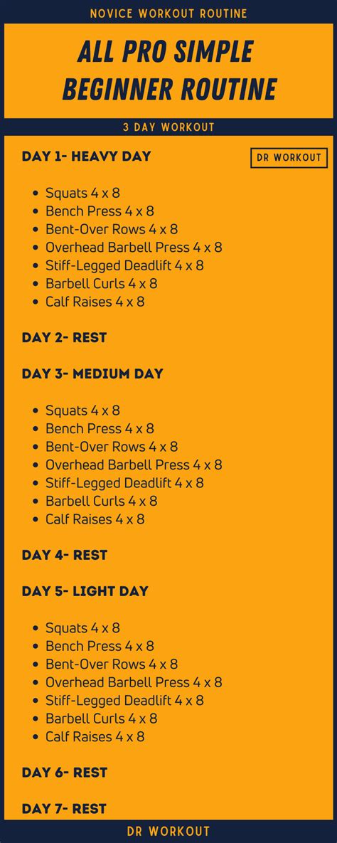 Image result for Daily Workout Routine for Beginners