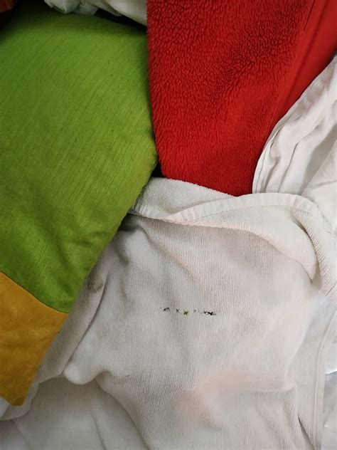 THE MARWAR HOTEL & GARDENS (Jodhpur, Rajasthan) - Hotel Reviews, Photos ...