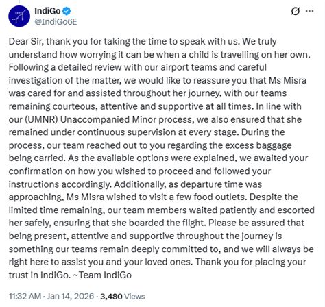 Writer Neelesh Misra alleges IndiGo staff mistreated daughter airline ...