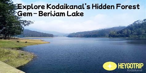 Berijam Lake Permit & Entry Rules Explained: A Hidden Kodaikanal Gem ...