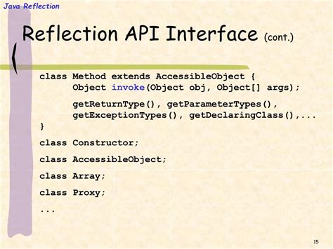 Reflection API in Java 的图像结果