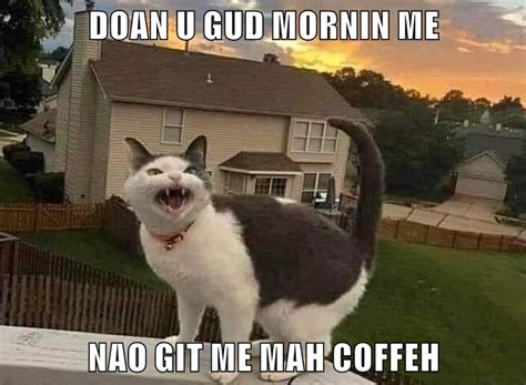 Image result for Soyo Monitor 24 Polegadas