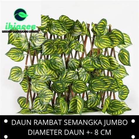 Jual DAUN RAMBAT SEMANGKA JUMBO DAUN PLASTIK DAUN HIAS DAUN JUNTAI ...