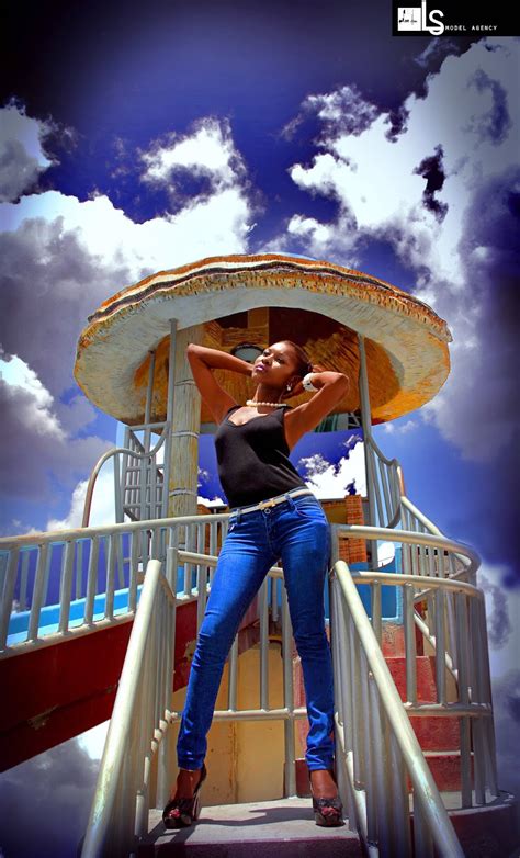 Image result for File Fly Ls Models