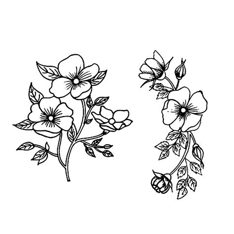 Free Flower Clipart Outline, Download Free Flower Clipart Outline png ...